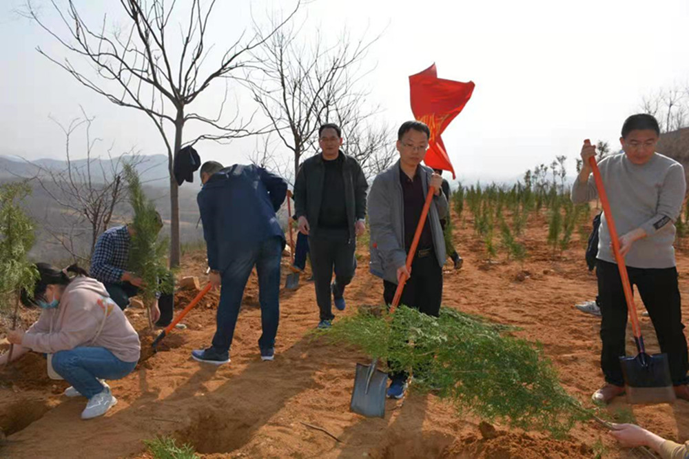 文博中心項目部臨時黨支部開展義務植樹主題黨日活動